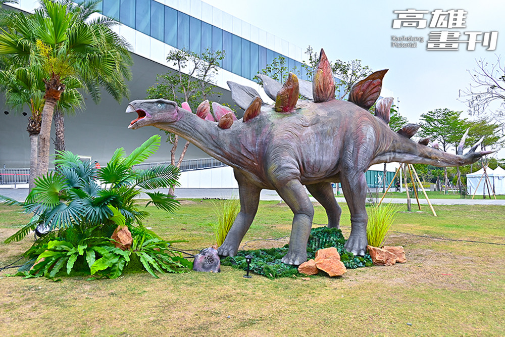 劍龍的背部有兩排巨大的交替骨板。(攝影/Carter)