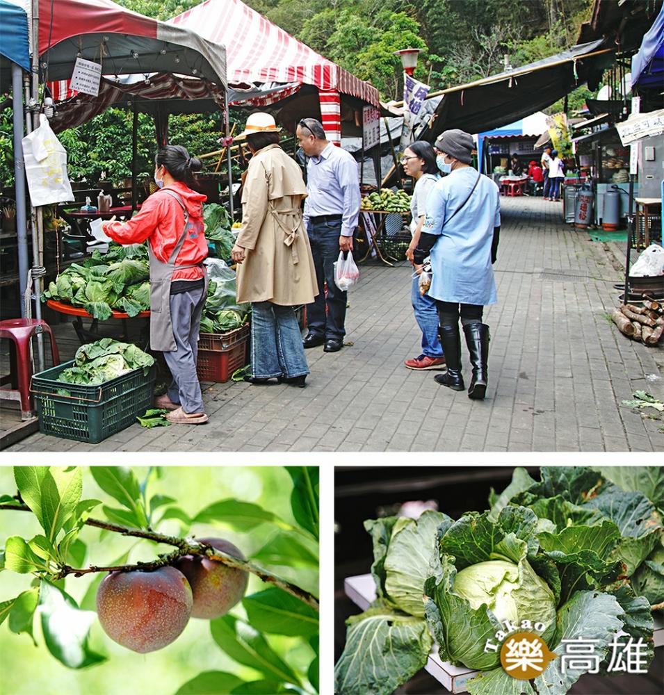 梅山小農市集採買高山高麗菜、當季蔬果，支持好農物。（攝影/曾信耀）