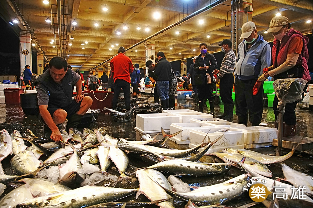前鎮魚市場是大盤商的分銷地，現場可以看到許多攤販、廚師來挑選海鮮。（攝影/曾信耀）