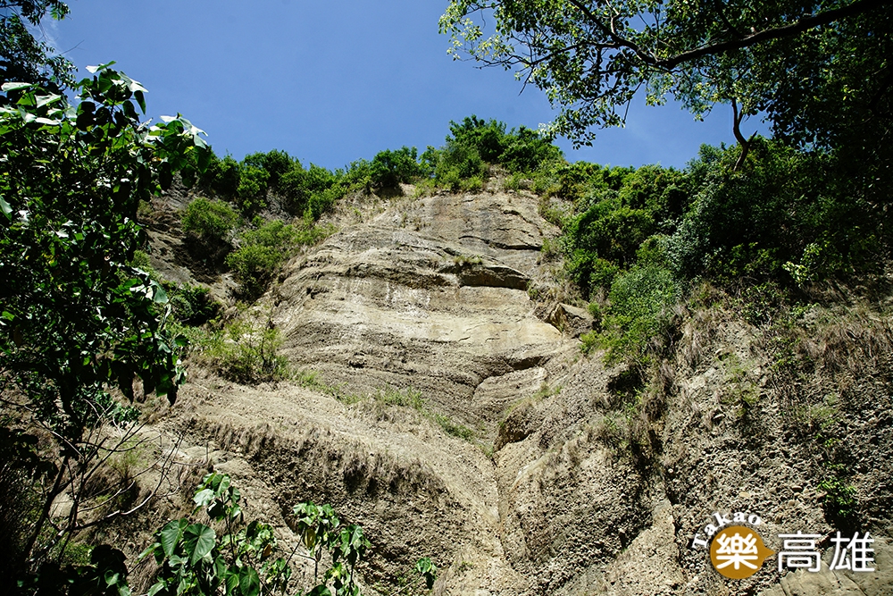 十八羅漢山自然保護區為台灣四大礫岩地景區之一。（攝影/曾信耀）