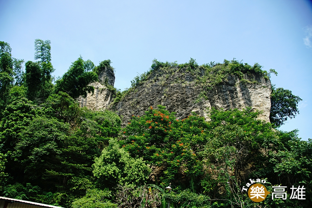 雞冠山，當地人稱為麒麟山，由於地殼隆起，山上可發現貝殼化石遺跡。（攝影/曾信耀）