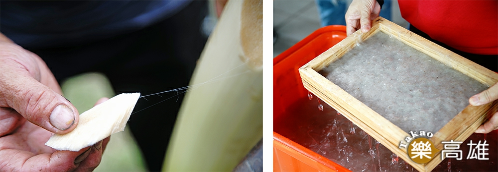 剝下香蕉假莖纖維，粗的部分可以編繩、織布，軸心部分細如髮絲，適合造紙，延長農作廢棄物的生命，也是對環境的愛護。（攝影/曾信耀）
