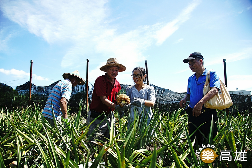 鳳梨的食農教育用意，在於從栽種的過程，體會農民的辛苦，瞭解友善土地環境的重要性。（攝影/曾信耀）