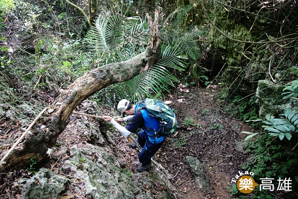 巡查員不只要有好體力，應付各種地形的登山能力，還得對壽山蜘蛛網般的大小路徑瞭若指掌。（攝影/曾信耀）