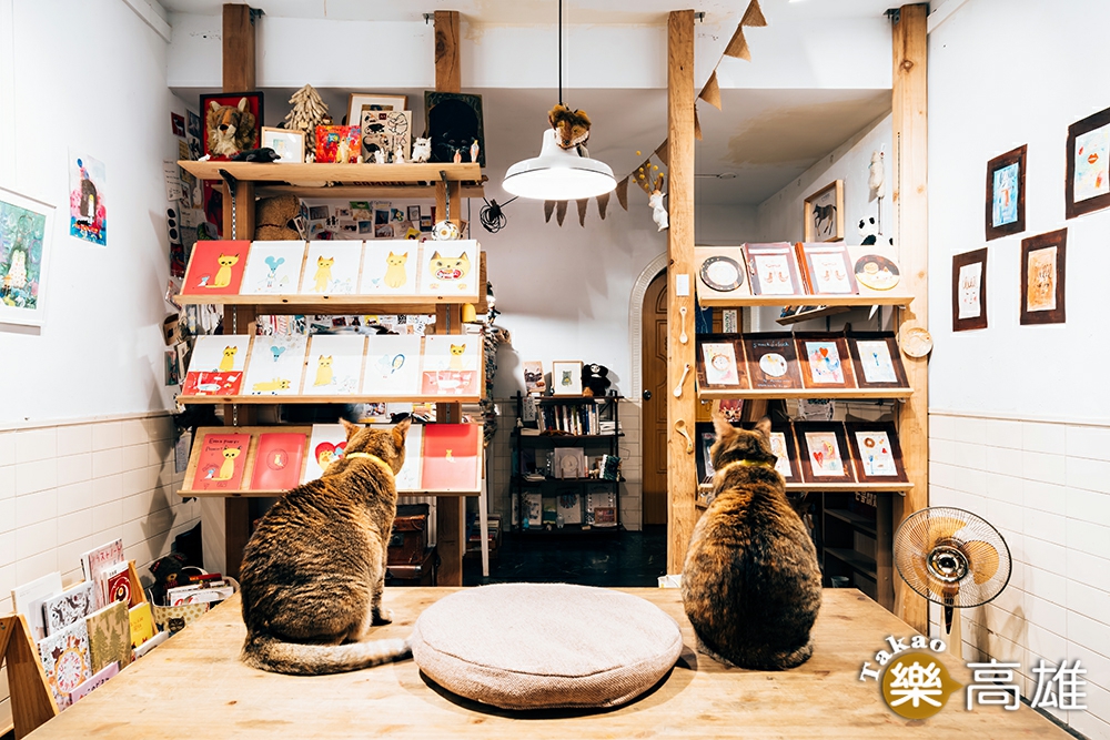閱覽室書架上陳列藝術、文學類書籍和雜誌，在貓的陪伴下享受閱讀時光，沉澱心情。（攝影/陳建豪）