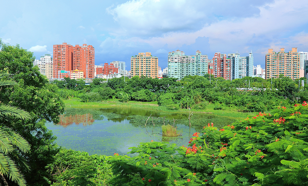 【202109在地行旅】城市綠洲─洲仔濕地探訪水鳥後樂園