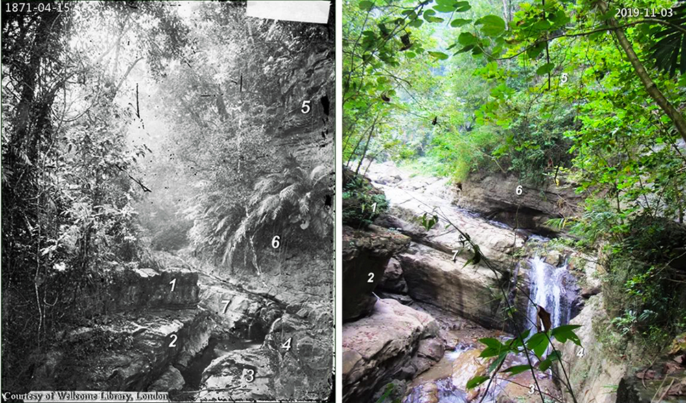 湯姆生的〈甲仙埔與荖濃間的山溪，1871〉照片，引發游永福追尋百年歷史。(圖片提供/游永福)