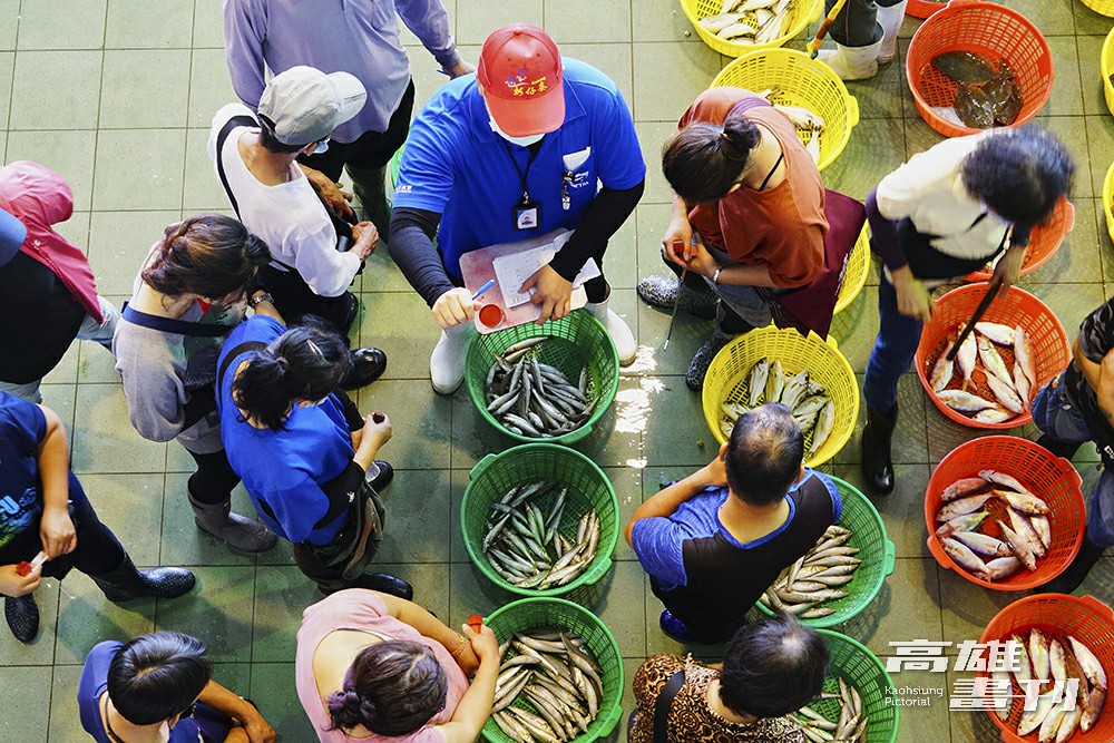 全國第一個獲得HACCP認證的魚市場，使用與日本築地同樣的標準，降低水產品在拍賣過程中受到的污染。(攝影/Cindy Lee)