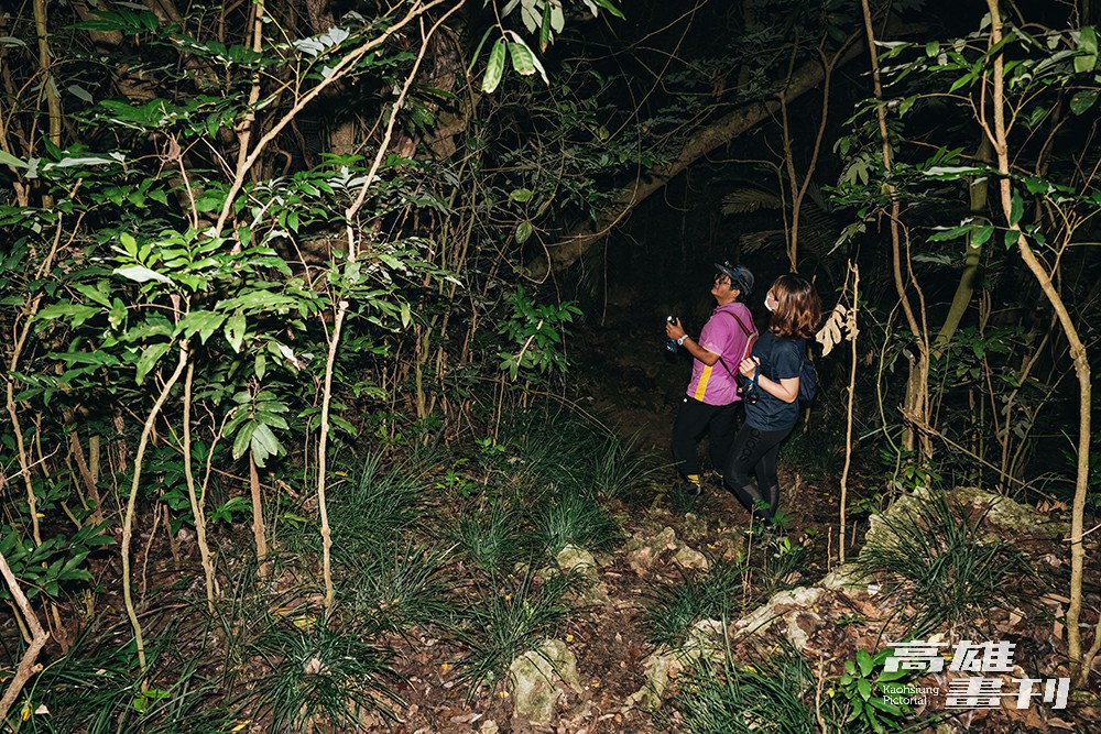 跟著生態專家廖德嵩老師一起探險，發現壽山步道的夜間生態寶盒。(攝影/張晉瑞)