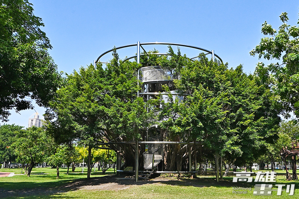 藝術家顏名宏為「台灣設計設計台灣」，設計與榕樹共築的裝置藝術「大樹宇宙-愛河森林慢板」。(攝影/Carter)