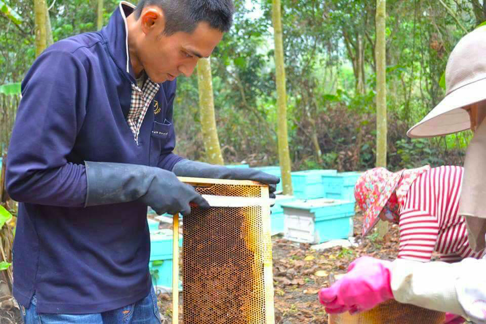 月勝吉傳承家裡的養蜂事業，養蜂規模平均200箱。(圖片提供/滿築蜂蜜&咖啡)